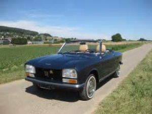 photo Peugeot 204 + 304 cabriolet