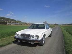 photo Jaguar XJ12  (mk3)