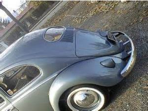 photo Volkswagen Coccinelle / beetle [Ovale]